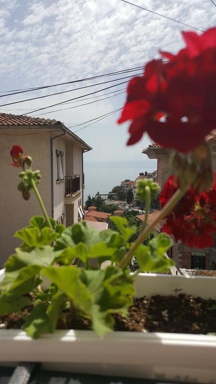 Villa Srma Ohrid Quarto foto