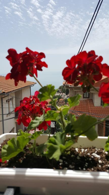 Villa Srma Ohrid Exterior foto